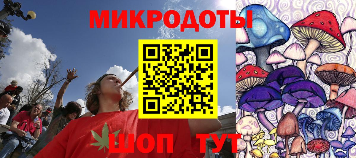 Галлюциногенные грибы Psilocybe Саров