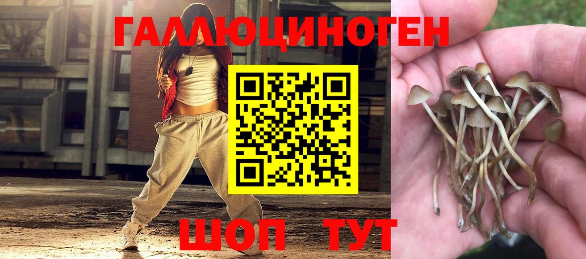 Метамфетамин Саров