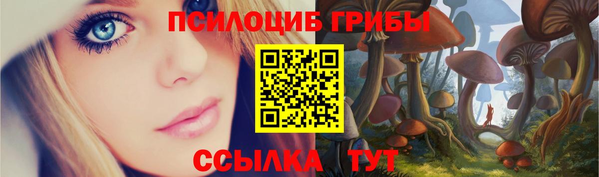 Саров  Галлюциногенные грибы Psilocybine cubensis  Вход с VPN  Псилоцибиновые грибы Psilocybine cubensis 